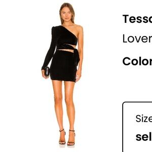 Lovers and Friends velvet dress